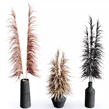 HQ HousePlants Decorative Miscanthus Pampas Dried Branches03