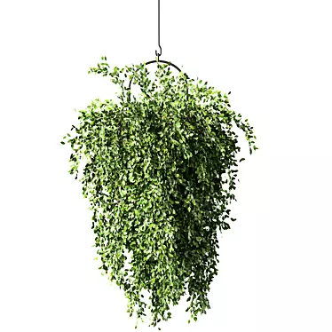 Modern Hanging Plant Set Trio 3D model image 1 