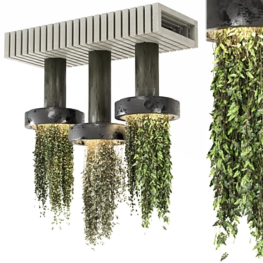 indoor hanging plants collection_set 1364