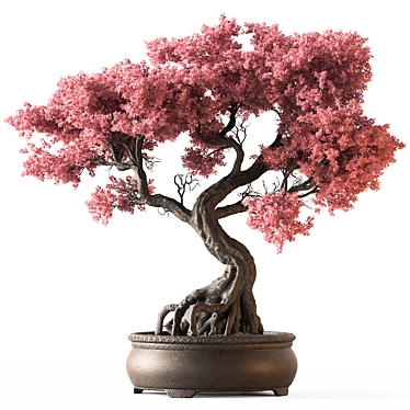 Bonsai Set Indoor Plant 3D model image 1 