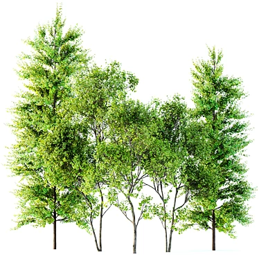 Majestic Spring Tree Collection 3D model image 1 