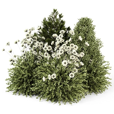 Outdoor Plants Bush -Bush Set 2398