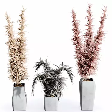 HQ HousePlants Decorative Stoilan Pampas Dried Branches Pampy04