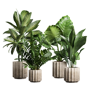 Exotic Indoor Plants Collection 74 3D model image 1 