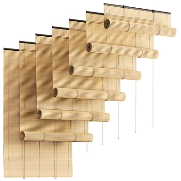 Versatile Bamboo PVC Blinds 3D model image 1 