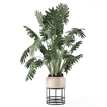 Natural Indoor Plant Set - 2015 3D model image 1 