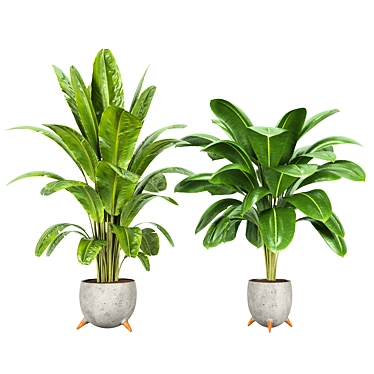 Plant Set 01