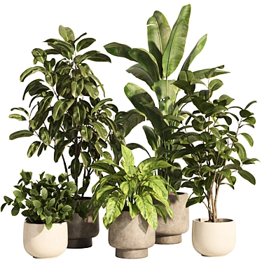 indoor plant set 81-concrete and ceramic