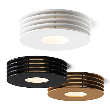 Swivel Design Ceiling Light Fixture 3D model image 1 