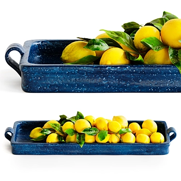 Tray with lemons