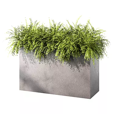 Evergreen Bush Outdoor Plant Set 3D model image 1 