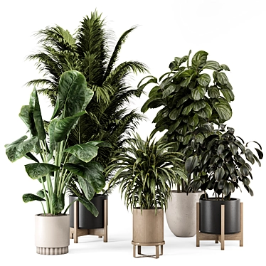 Indoor Plants in Ferm Living Bau Pot Large - Set 2412