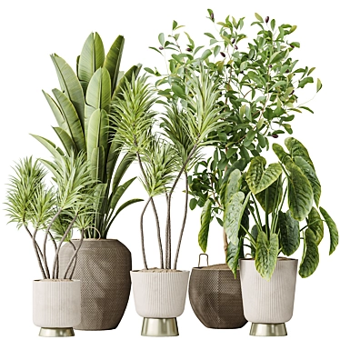 Diverse 3D Indoor Plant Set 3D model image 1 