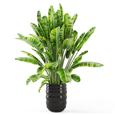 Modern Indoor Plants Set 2418 3D model image 1 