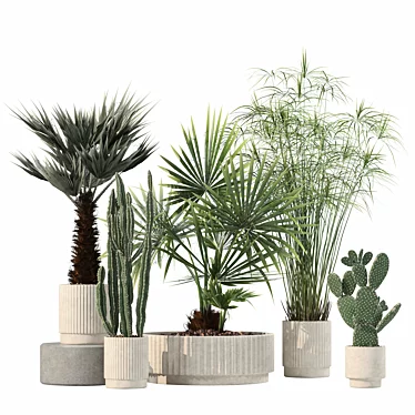 Rattan Pot Plant Collection 218 3D model image 1 