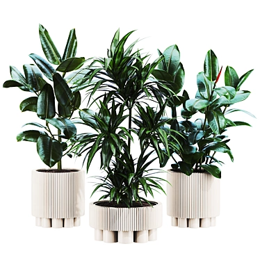 Plants set 142