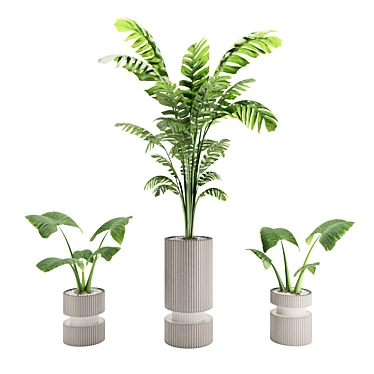 Modern Indoor Plant 3D Model 3D model image 1 