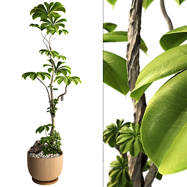 3D Tree Plant Model Collection 3D model image 1 