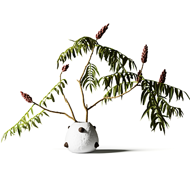 Acacia Branch in White Clay Vase 3D model image 1 