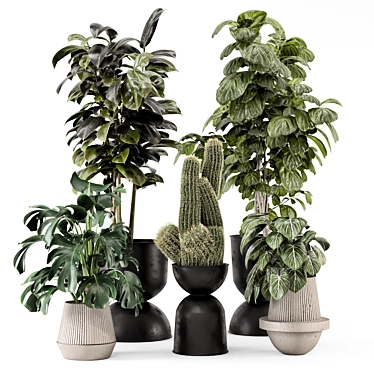 Modern Indoor Plants Set 2428 3D model image 1 