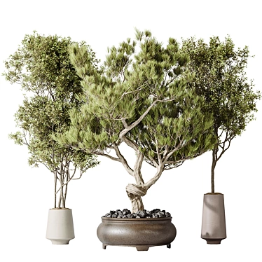 Bonsai & Olive Indoor Plant Set 3D model image 1 