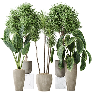 120 Plant Set Collection 3D 3D model image 1 