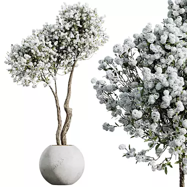 Cherry Blossom Tree St. Tropez Planter 3D model image 1 