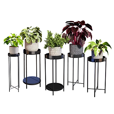 Indoor Plant 3D Models