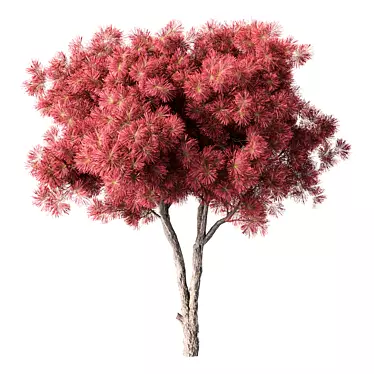 Sculpted Pine Tree No.132 3D model image 1 