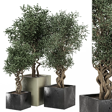  3D Outdoor Plants Set 3D model image 1 