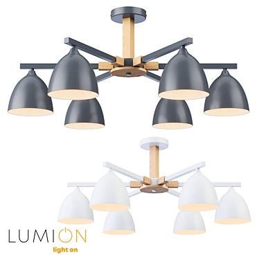 Lumion 8095/8096-6C