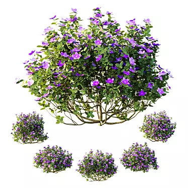 Purple Princess Flower Bush 3D Model 3D model image 1 