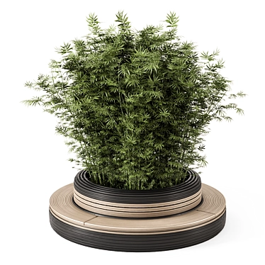 Bamboo Circle Base Outdoor Plants 3D model image 1 