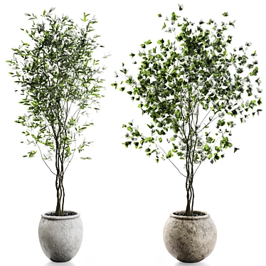 Elegant Branches Plant Vases 3D model image 1 