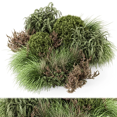 Outdoor Bush Collection 2015 MAX 3D model image 1 