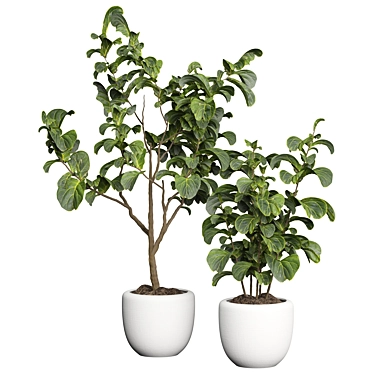 Premium 3D Indoor Plant Model 3D model image 1 