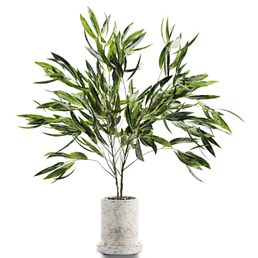 Elegant Branches in Decorative Vases 3D model image 1 