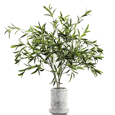 Plant branches in vases 123