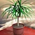 Vazon: Stylish Multipurpose Planter 3D model small image 1