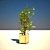 Indoor Plant: Vibrant and Refreshing 3D model small image 1