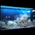  Coral Reef Aquarium 3D model small image 1