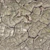 Cracked Earth: Nature's Beauty 3D model small image 1