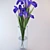 Elegant Iris Bouquet 3D model small image 1