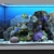 Ocean Bliss Glass Aquarium 3D model small image 15