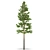 10-Meter Pine Tree: Realistic 3D Model 3D model small image 1