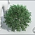 Compact Purple Willow 3D model small image 1