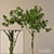 Ivy-Adorned Tree: A Perfect Blend of Elegance 3D model small image 1