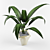 Indoor Greenery: Ideal Houseplants 3D model small image 1