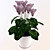 Elegant Cyclamen: Beautiful Indoor Flower 3D model small image 1