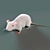 Title: Animated Cat Mouse: Hair & Fur 3D model small image 2